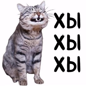 Мое — стикер для MAX