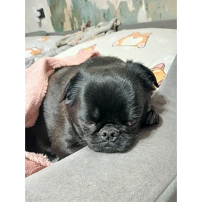 Роня — стикер для MAX