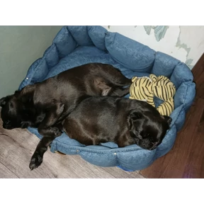 Роня — стикер для MAX