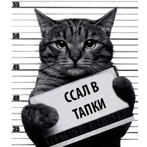 Стикер из сообщения канала