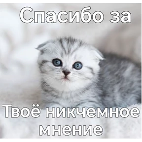 ALEVTINA_BOOST — стикер для MAX