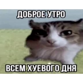 ALEVTINA_BOOST — стикер для MAX