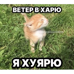 ALEVTINA_BOOST — стикер для MAX