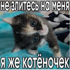 ALEVTINA_BOOST — стикер для MAX