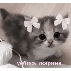 ALEVTINA_BOOST — стикер для MAX