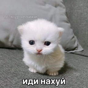ALEVTINA_BOOST — стикер для MAX