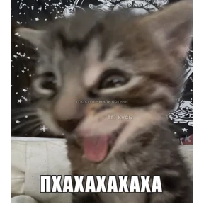 ALEVTINA_BOOST — стикер для MAX