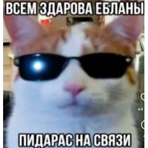 pox — стикер для MAX