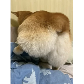 Рей — стикер для MAX