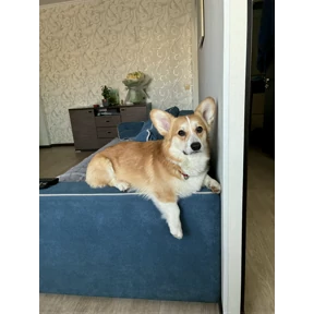 Рей — стикер для MAX