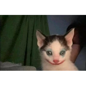 Коты — стикер для MAX
