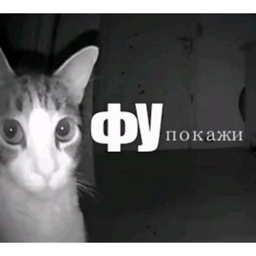 Да да — стикер для MAX