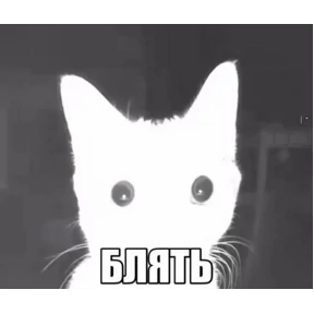 Да да — стикер для MAX