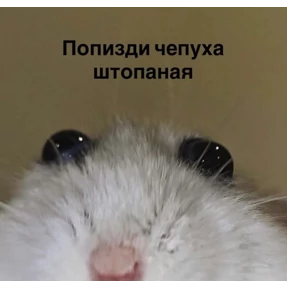 Да да — стикер для MAX