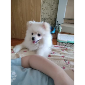Мартюша — стикер для MAX