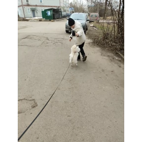 Мартюша — стикер для MAX