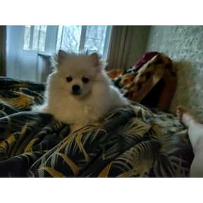 Мартюша — стикер для MAX
