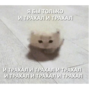 Да да — стикер для MAX