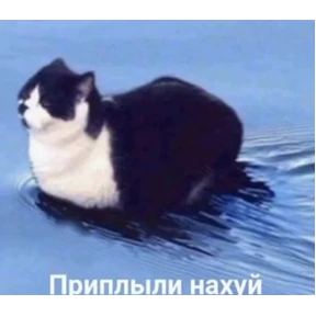 Да да — стикер для MAX
