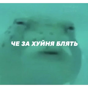 Да да — стикер для MAX
