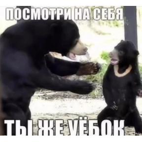 Да да — стикер для MAX