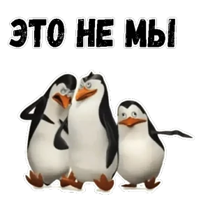 Пингвины Мадагаскара — стикер для MAX