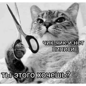 Ха — стикер для MAX