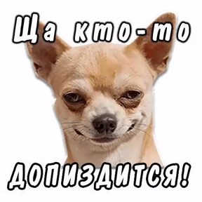 Мое — стикер для MAX
