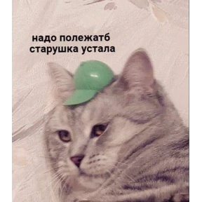 База 126 — стикер для MAX