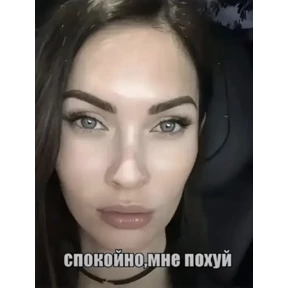 котёнки — стикер для MAX