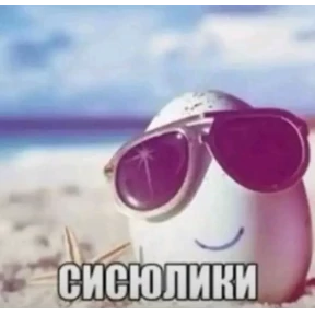 котёнки — стикер для MAX
