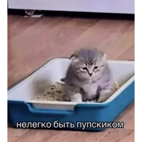 пупипупи — стикер для MAX