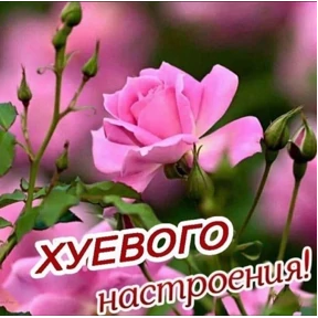 yumoreski — стикер для MAX