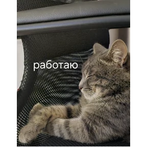 Кошара — стикер для MAX
