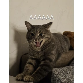 Кошара — стикер для MAX