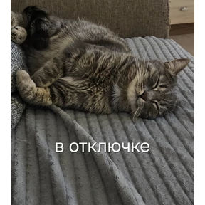Кошара — стикер для MAX
