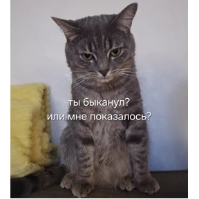 Кошара — стикер для MAX