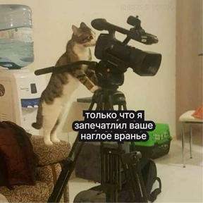 Стикеры — стикер для MAX
