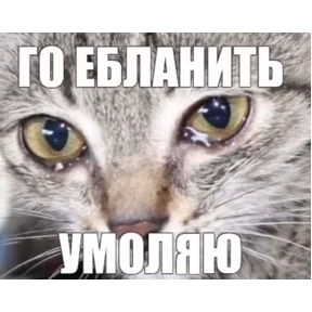 Мой наборчик — стикер для MAX