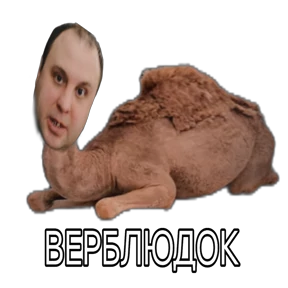 SAUNA MAGLA — стикер для MAX