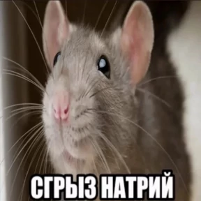 Stiker — стикер для MAX
