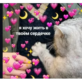 Мими Кити — стикер для MAX