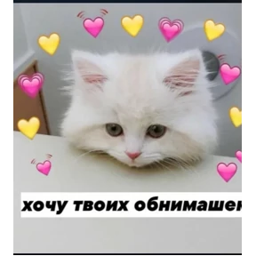 Мими Кити — стикер для MAX