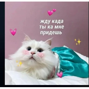 Мими Кити — стикер для MAX