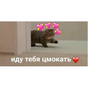 Мими Кити — стикер для MAX