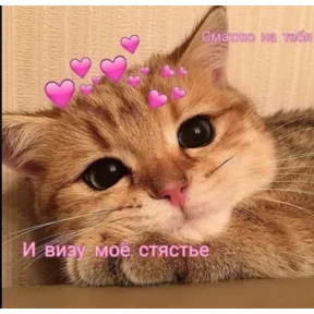 Мими Кити — стикер для MAX