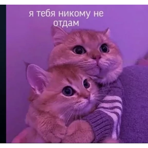 Мими Кити — стикер для MAX