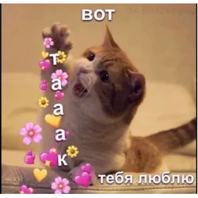 Мими Кити — стикер для MAX