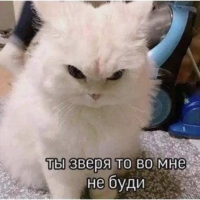 Ха — стикер для MAX