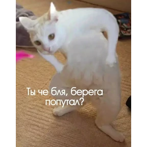 Ха — стикер для MAX